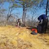 2019 Red River Gorge